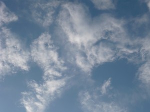 P1020530